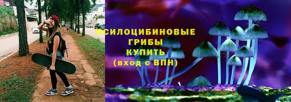 дмт Баксан